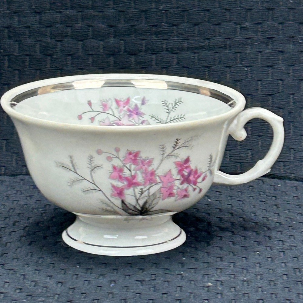Karolina Poland China Teacup Pink Floral Silver Trim‎ Vintage Porcelain 3879 9
